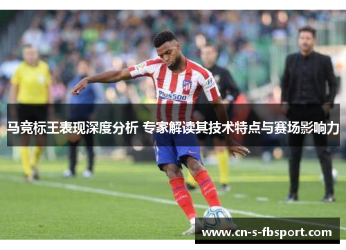 马竞标王表现深度分析 专家解读其技术特点与赛场影响力