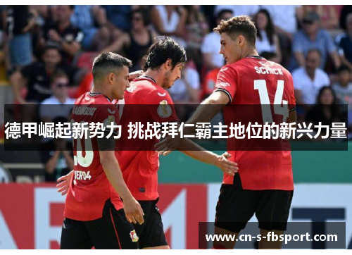 德甲崛起新势力 挑战拜仁霸主地位的新兴力量