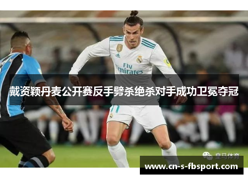 戴资颖丹麦公开赛反手劈杀绝杀对手成功卫冕夺冠