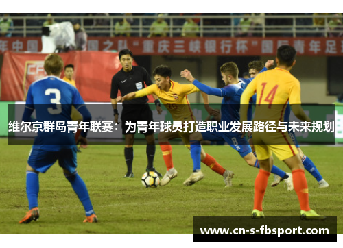 维尔京群岛青年联赛:为青年球员打造职业发展路径与未来规划 维尔京群岛青年联赛:为青年球员打造职业发展路径与未来规划