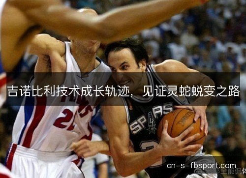 吉诺比利技术成长轨迹，见证灵蛇蜕变之路