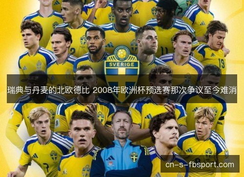 瑞典与丹麦的北欧德比 2008年欧洲杯预选赛那次争议至今难消 瑞典与丹麦的北欧德比 2008年欧洲杯预选赛那次争议至今难消